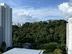 Blk 73 Telok Blangah Heights (Bukit Merah), HDB 5 Rooms #455988911